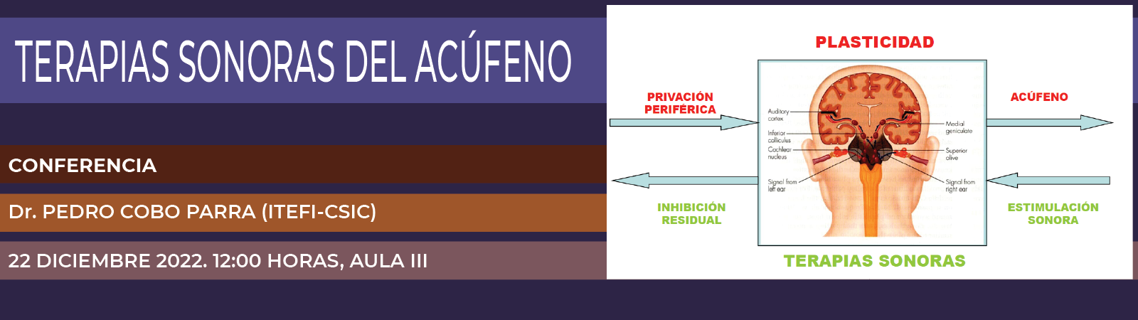 Conferencia terapias sonoras del acúfeno