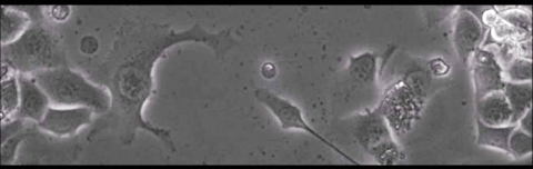 Frontier in science B